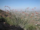 photo thumbnail #1