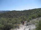 photo thumbnail #10