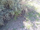 photo thumbnail #15