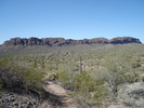 photo thumbnail #5