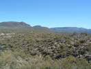 photo thumbnail #7