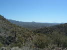 photo thumbnail #12
