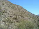 photo thumbnail #13