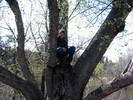 photo thumbnail #2