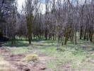 photo thumbnail #3