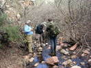 photo thumbnail #5