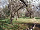photo thumbnail #12