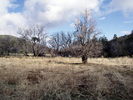photo thumbnail #15