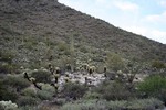 photo thumbnail #14