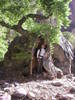 photo thumbnail #6
