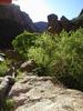 photo thumbnail #7