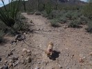 photo thumbnail #1