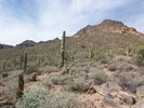 photo thumbnail #3