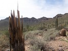 photo thumbnail #4