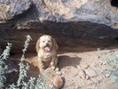 photo thumbnail #6