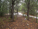 photo thumbnail #5