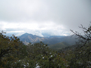 photo thumbnail #8
