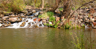 photo thumbnail #4