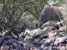 photo thumbnail #2