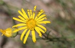 photo thumbnail #15