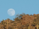 photo thumbnail #12
