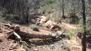 photo thumbnail #1