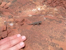 photo thumbnail #6