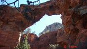 photo thumbnail #3