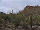 photo thumbnail #7