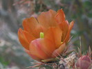 photo thumbnail #11