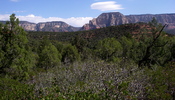 photo thumbnail #6