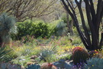 photo thumbnail #8