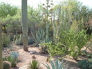 photo thumbnail #1