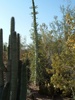 photo thumbnail #10