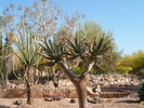 photo thumbnail #15