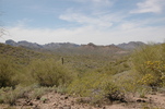 photo thumbnail #5