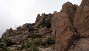 photo thumbnail #10