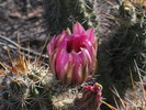 photo thumbnail #3