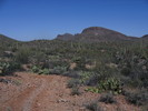 photo thumbnail #9