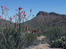 photo thumbnail #10