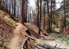 photo thumbnail #5