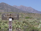 photo thumbnail #12