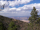 photo thumbnail #9