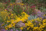 photo thumbnail #8