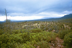 photo thumbnail #15