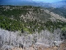photo thumbnail #14