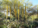 photo thumbnail #13