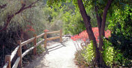 photo thumbnail #14