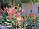 photo thumbnail #15