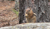 photo thumbnail #2